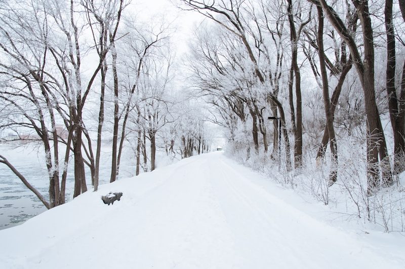 Winter Weather Policy and Case Delivery